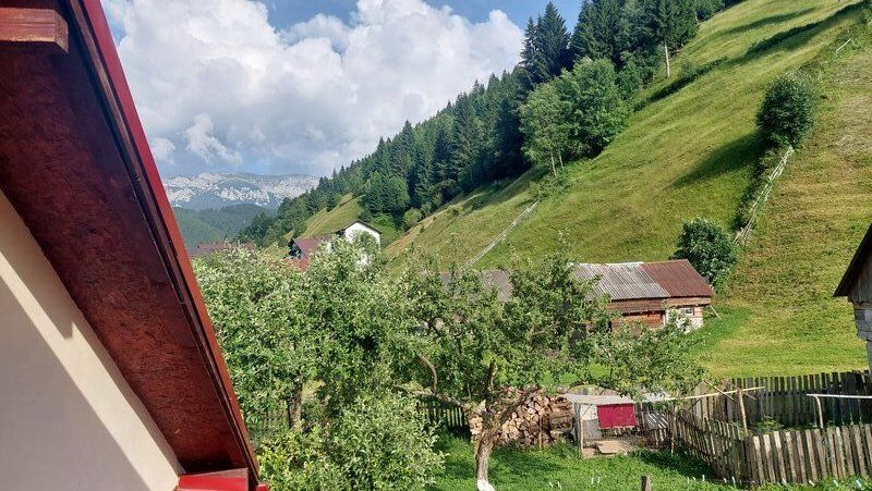 Intemeierea unei familii